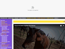 Tablet Screenshot of formation-equestre.com